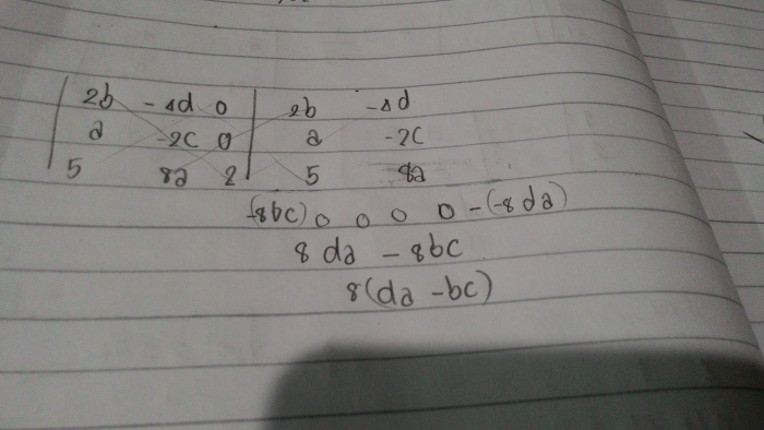 โจทย์ det ของเมทริกซ์ ช่วนหน่อยค่ะ