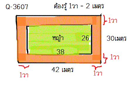 Q-3607 โจทย์การวัด ค่าปูหญ้า