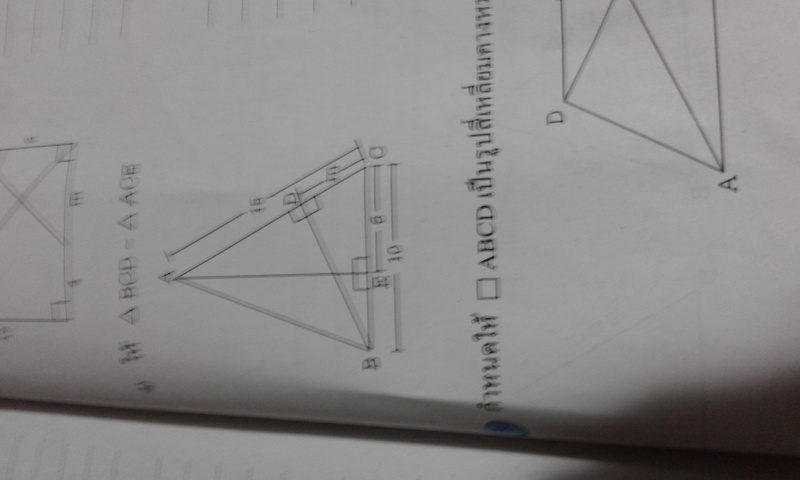 ความคล้าย ม.3