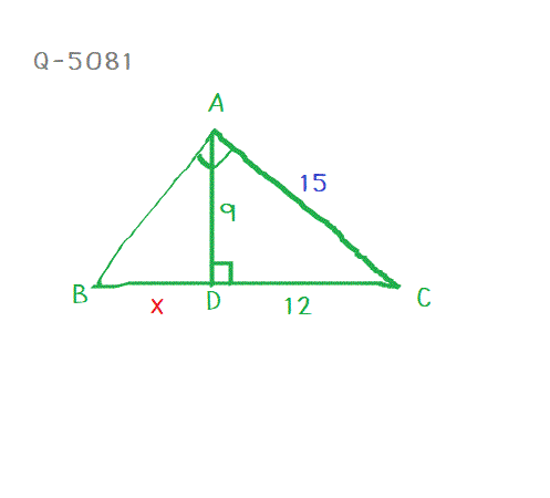 Q-5081 พิทากอรัส