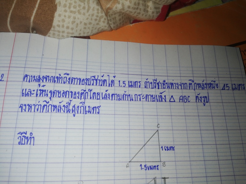 Q3908 ความคล้าย ม.3