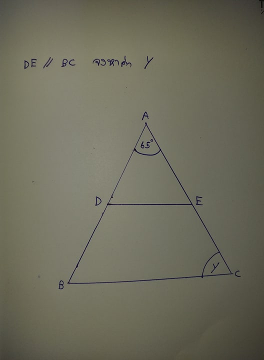 ถามการบ้าน วิชาคณิตครับ