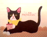 เรียนก็ไม่เก่ง เซ็งจัง!!!