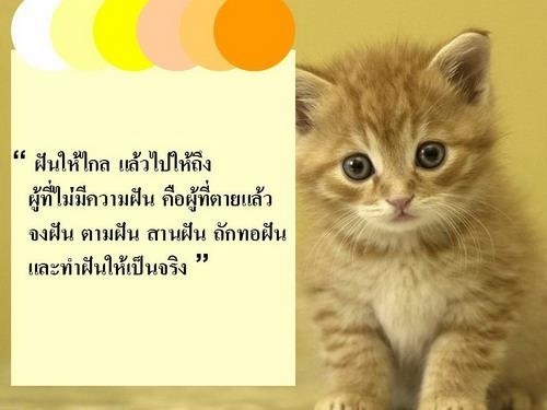 มารายงานตัวกันดีกว่าจ้าา