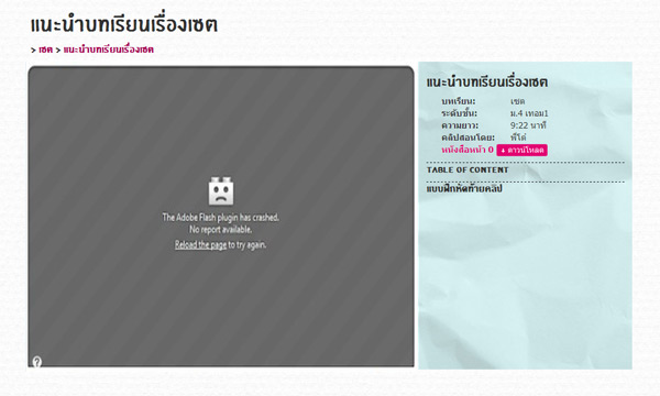 วิธี upgrade Flash Player