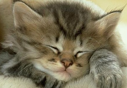 สำหรับคนนอนดึกทั้งหลาย