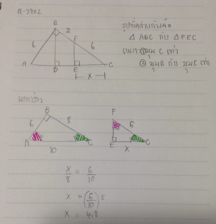 Q-3902 ความคล้าย ม.3